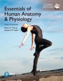 Essentials of Human Anatomy & Physiology, Global Edition (eBook, ePUB)