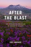 After the Blast (eBook, ePUB)