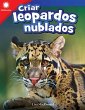 Criar Leopardos Nublados - Bild 1