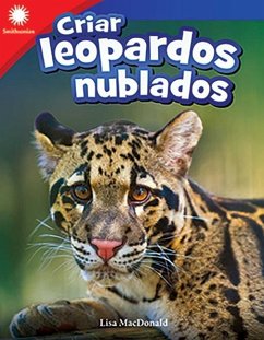 Criar Leopardos Nublados - Macdonald, Lisa