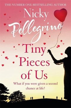 Tiny Pieces of Us - Pellegrino, Nicky