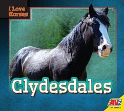 Clydesdales - Koran, Maria