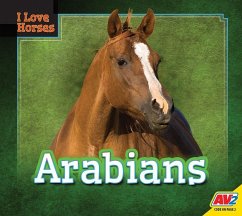 Arabians - Koran, Maria