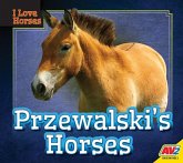 Przewalski's Horses Przewalski's Horses