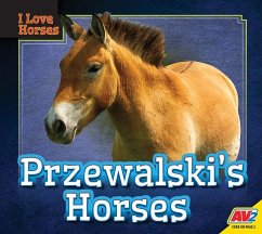 Przewalski's Horses - Koran, Maria