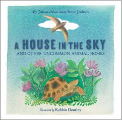 A House in the Sky - Jenkins, Steve