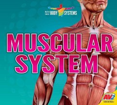 Muscular System - Woodland, Faith