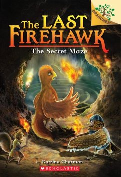 The Secret Maze: A Branches Book (the Last Firehawk #10) - Charman, Katrina