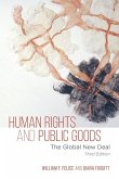 Human Rights and Public Goods