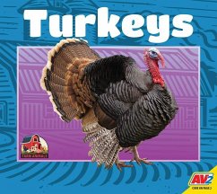 Turkeys - Woodland, Faith