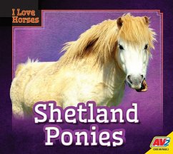 Shetland Ponies - Koran, Maria