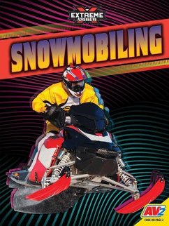 Snowmobiling - Wiseman, Blaine
