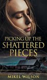 Picking Up The Shattered Pieces