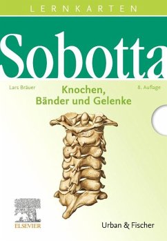 Sobotta Lernkarten Knochen, Bänder und Gelenke - Sobotta, Johannes