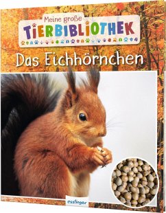Das Eichhörnchen / Meine große Tierbibliothek Bd.20 - Ledu-Frattini, Stéphanie