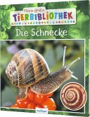 Die Schnecke / Meine große Tierbibliothek Bd.17