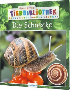 Die Schnecke / Meine große Tierbibliothek Bd.17 - Starosta, Paul
