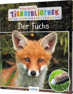 Der Fuchs / Meine große Tierbibliothek Bd.16 - Havard, Christian