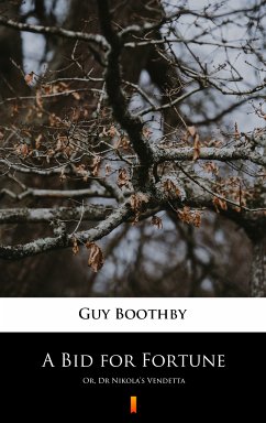 A Bid for Fortune (eBook, ePUB) - Boothby, Guy