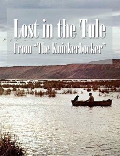 Lost In The Tule (eBook, ePUB) - Yadessac