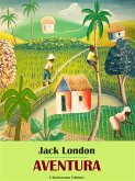 Aventura (eBook, ePUB)