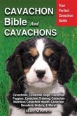 Cavachon Bible And Cavachons (eBook, ePUB)
