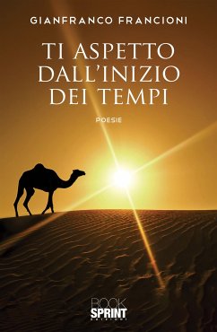 Ti aspetto dall’inizio dei tempi (eBook, ePUB) - Francioni, Gianfranco