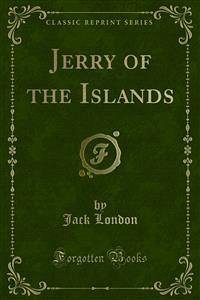 Jerry of the Islands (eBook, PDF)