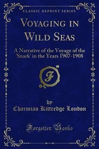 Voyaging in Wild Seas (eBook, PDF)