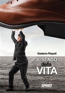 Il senso della vita (eBook, ePUB) - Rispoli, Gaetano