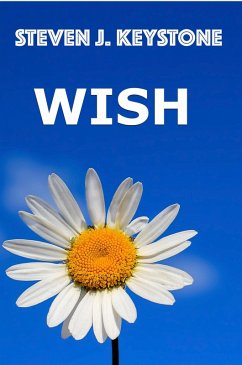 Cover Wish (eBook, ePUB)