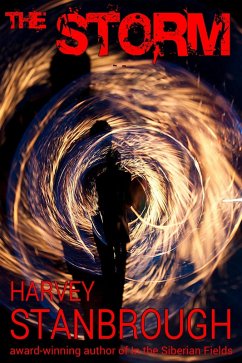 Cover The Storm (eBook, ePUB)