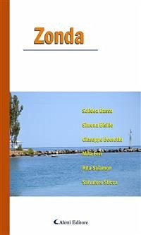 Zonda (eBook, ePUB) - Basso, Solidea; Bisillo, Simona; Boeretto, Giuseppe; Feri, Mita; Salamon, Rita; Sticca, Salvatore