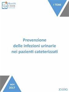 Prevenzione delle infezioni urinarie nei pazienti cateterizzati (eBook, ePUB) - Di Giulio, Paola