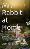 Mr. Rabbit at Home / A sequel to Little Mr. Thimblefinger and his Queer Country (eBook, PDF)
