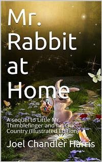 Mr. Rabbit at Home / A sequel to Little Mr. Thimblefinger and his Queer Country (eBook, PDF) - Chandler Harris, Joel
