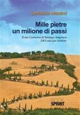 Mille pietre un milione di passi (eBook, PDF)