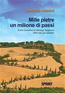 Mille pietre un milione di passi (eBook, PDF) - Massimi, Lanfranco