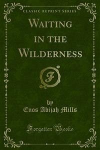 Waiting in the Wilderness (eBook, PDF)