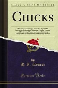 Chicks (eBook, PDF)