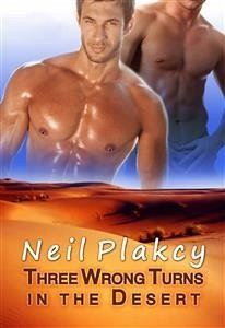 Three Wrong Turns in the Desert (eBook, ePUB) - Plakcy, Neil