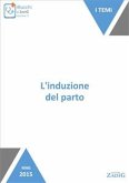 L'induzione del parto (eBook, ePUB)