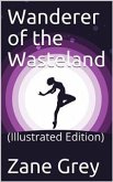 Wanderer of the Wasteland (eBook, PDF)