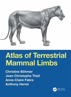 Atlas of Terrestrial Mammal Limbs (eBook, ePUB) - Böhmer, Christine; Theil, Jean-Christophe; Fabre, Anne-Claire; Herrel, Anthony