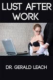 Lust After Work (eBook, ePUB)