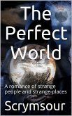 The Perfect World / A romance of strange people and strange places (eBook, ePUB)