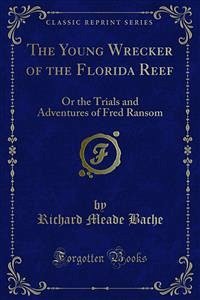 The Young Wrecker of the Florida Reef (eBook, PDF)