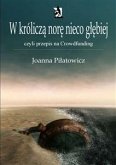 W króliczą norę nieco głębiej czyli przepis na Crowdfunding (eBook, ePUB)