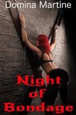 Night of Bondage (eBook, ePUB)