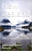 New Zealand (eBook, PDF)